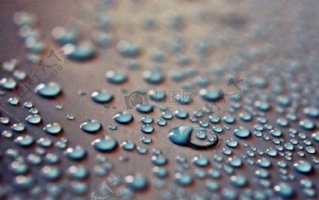 露水雨雨滴滴水焦点珍珠