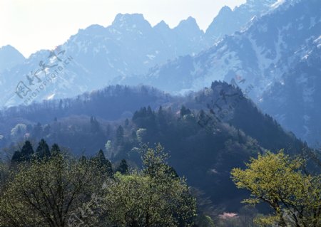 美丽雪山山峰图片