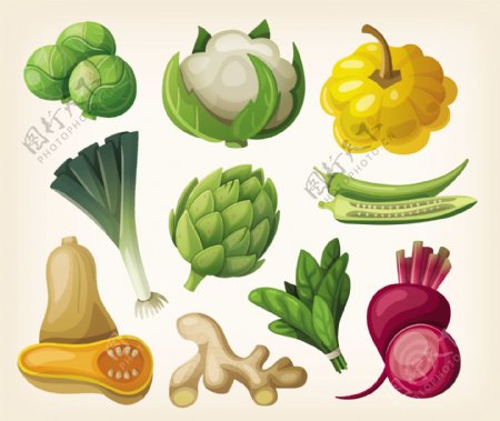 矢量蔬菜图片