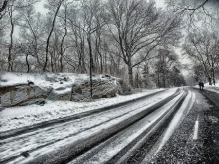 树林里落雪的公路