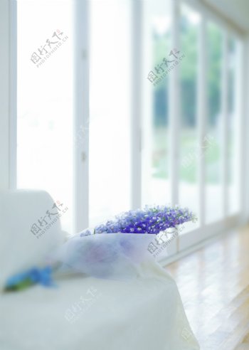 沙发上的紫色花图片