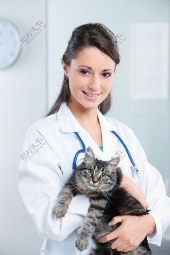 抱着小猫的女医生图片