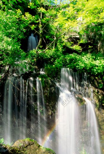 热带雨林瀑布美景图片