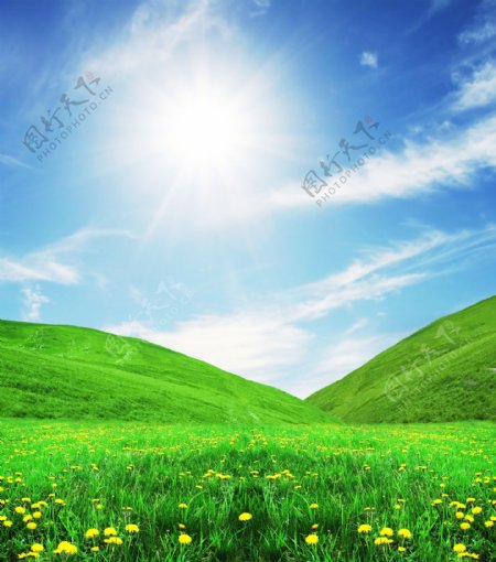 美丽草原风景与蓝天白云图片
