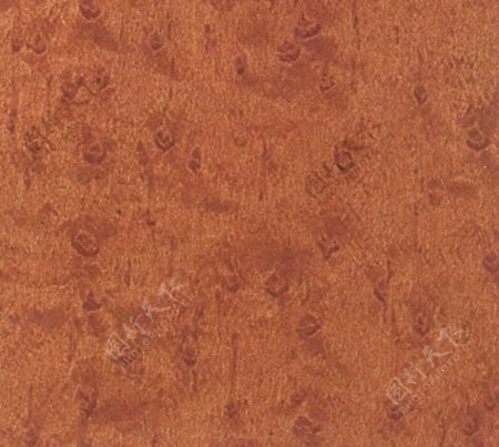 花木03木纹木纹板材木质