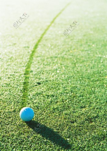 高尔夫球从草地上滚过的痕迹图片图片