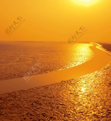 金色沙滩图片