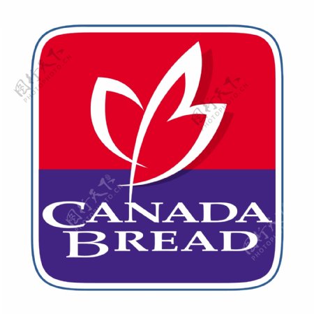 加拿大面包