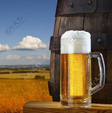 麦田与啤酒图片