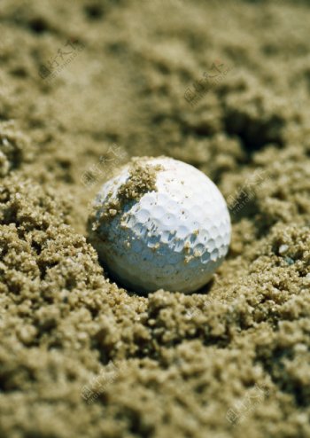 沙子里的高尔夫球特写图片