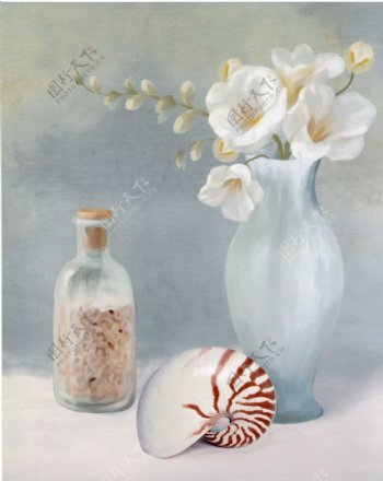 透明花瓶与海螺
