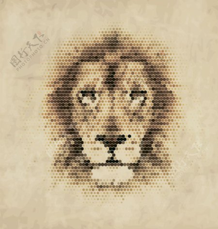 动物头像狮子图片