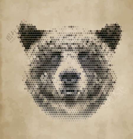 动物头像熊图片