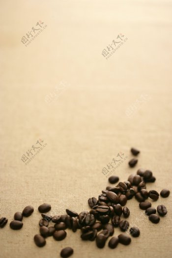 褐色咖啡豆颗粒图片
