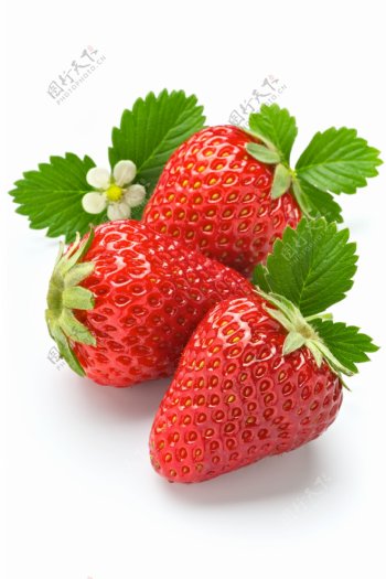 草莓与叶子图片