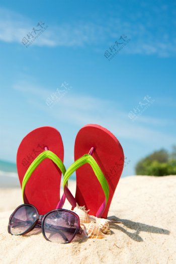 沙滩上的托鞋