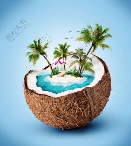 椰壳里的椰子树