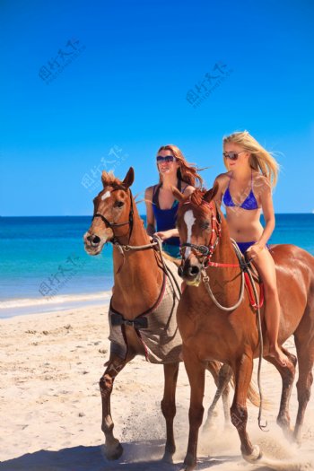 马背上的性感女人图片
