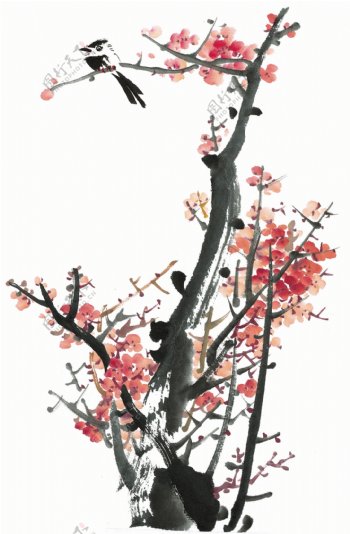 水墨梅花鸟类绘画图片