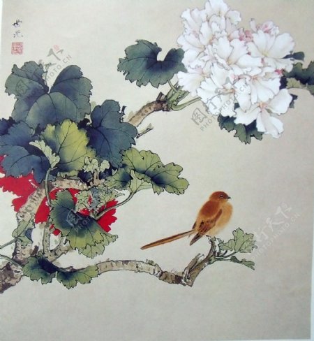 麻雀花卉国画图片