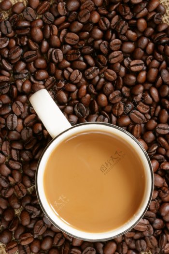 咖啡豆上的咖啡