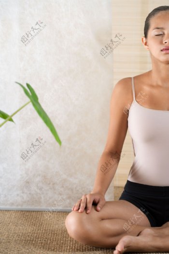 做瑜伽的SPA美女高清大图图片