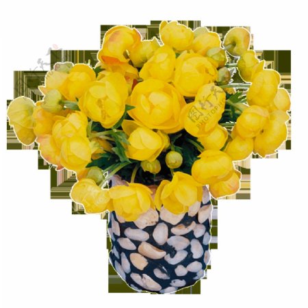 黄玫瑰花盆产品实物