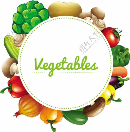 横幅设计与新鲜蔬菜插图