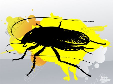 蟑螂的图形模板元素图标矢量图案
