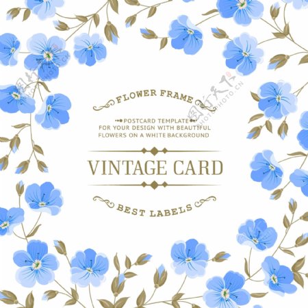 蓝色花卉装饰卡片