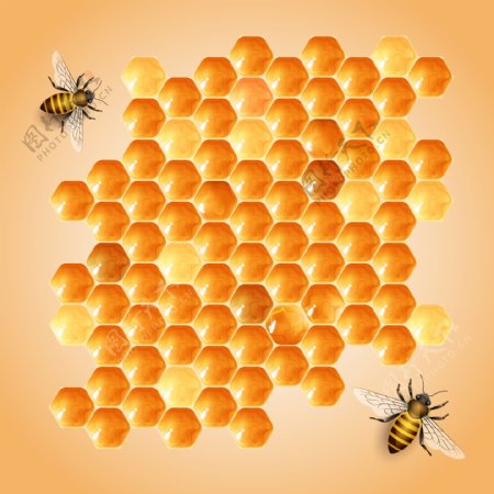 蜂蜜和峰巢