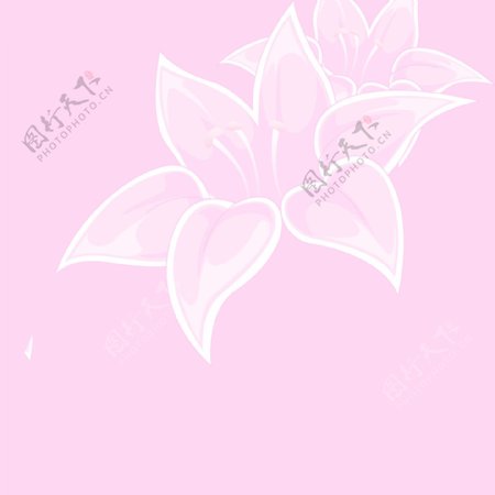 粉色透明花朵