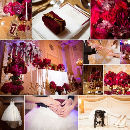 美丽玫瑰主题婚礼图片