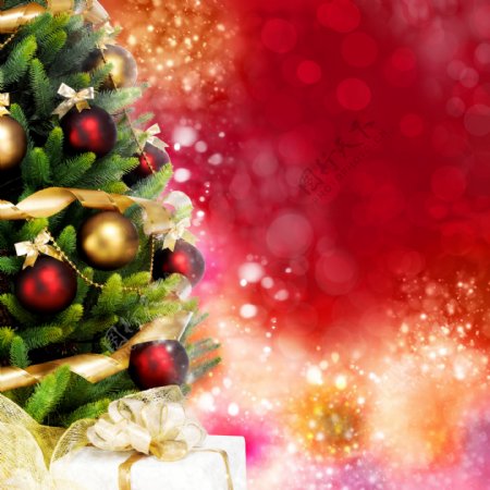 漂亮圣诞树与光斑背景图片