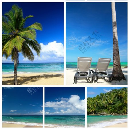 热带沙滩图片图片