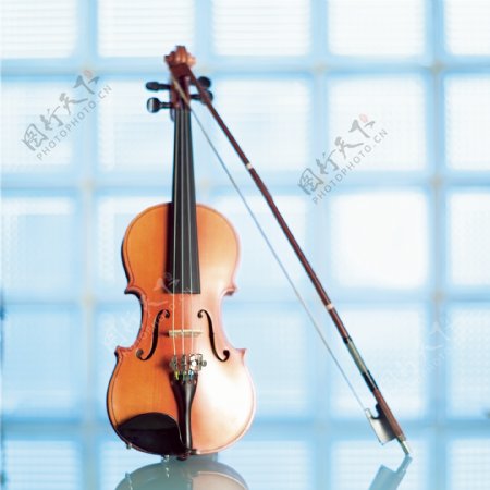 大提琴特写图片