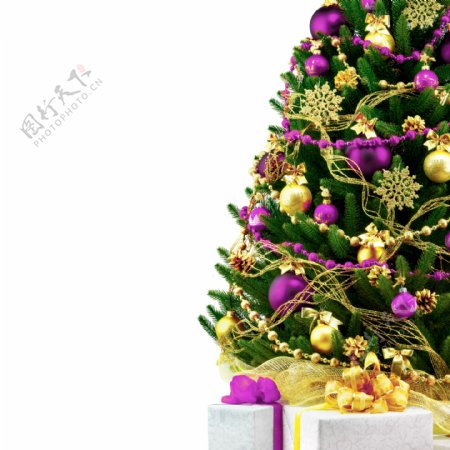 圣诞礼物与圣诞树