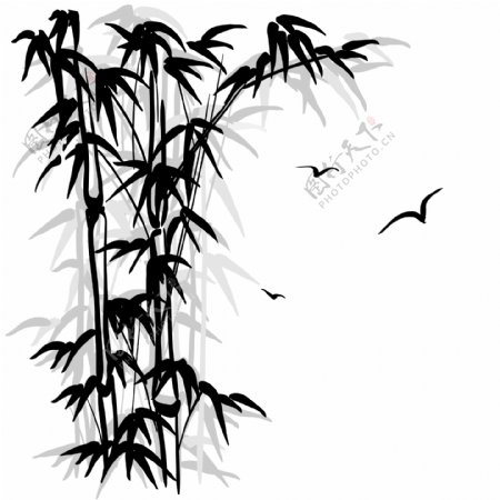 竹子与小鸟