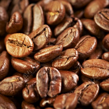 咖啡豆摄影图片