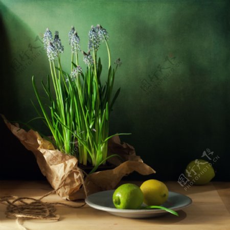 花朵和盘子上的柠檬图片