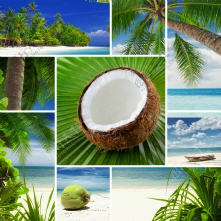 沙滩风景与椰子