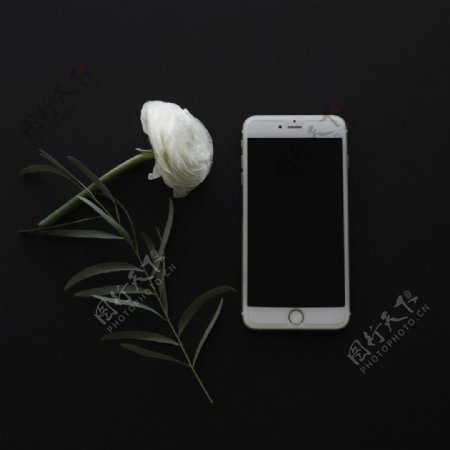 唯美苹果6手机与花图片