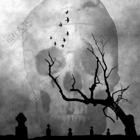 骷髅与枯树图片