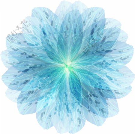 蓝色幻彩花卉矢量图片