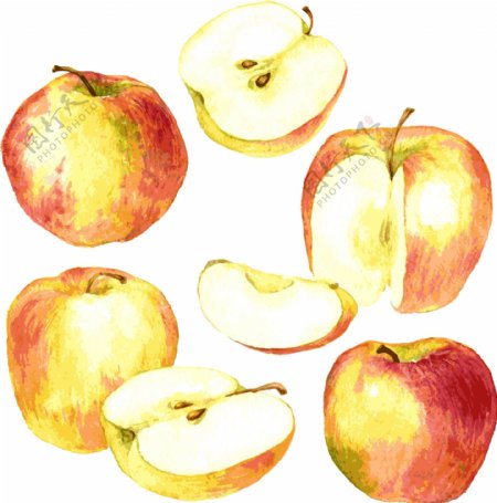 水彩绘苹果
