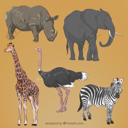 现实的手绘非洲动物