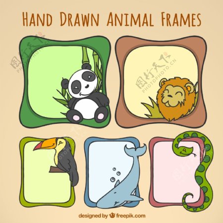 手绘动物框架