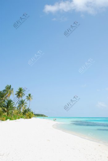 棕榈树的海滩天堂