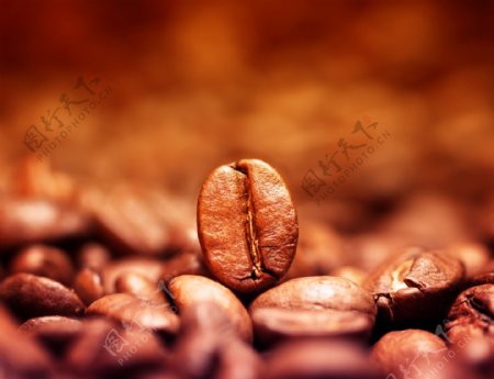 梦幻咖啡豆背景图片
