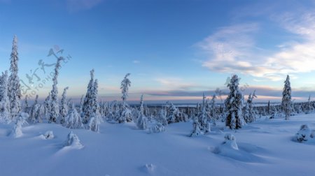 唯美的雪景